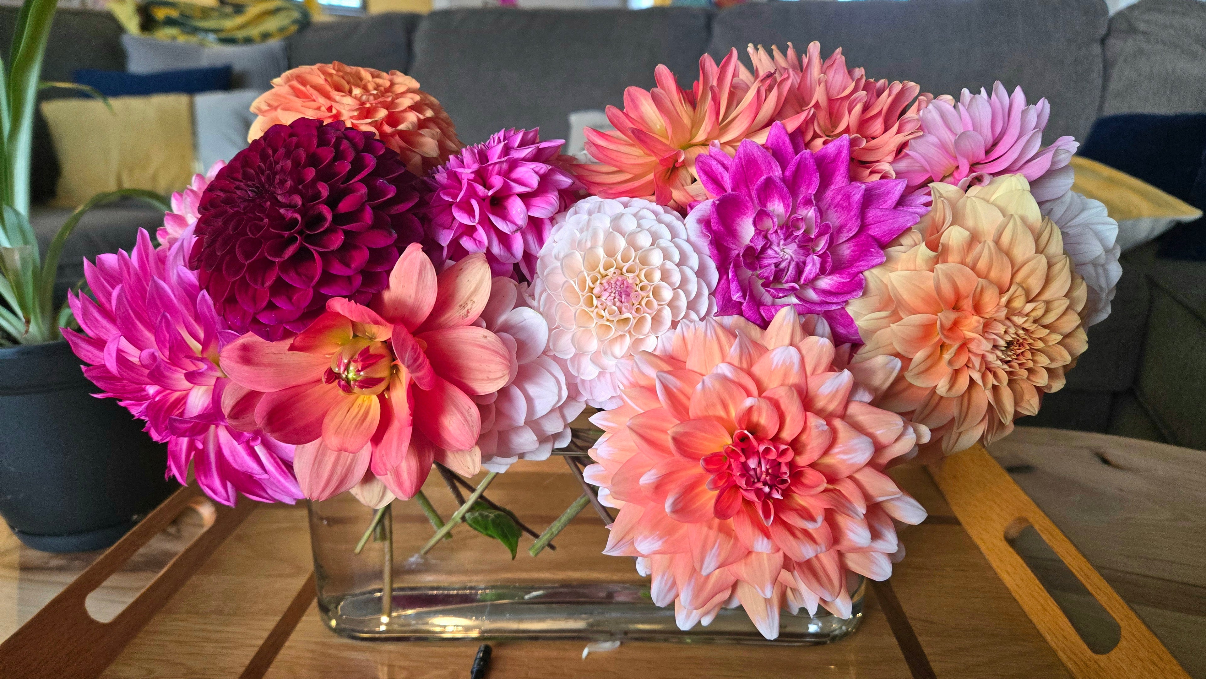Signature Cutting Garden