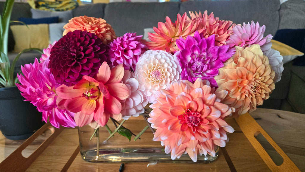 Backyard Bouquet Garden